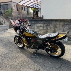 ゼファーxの画像