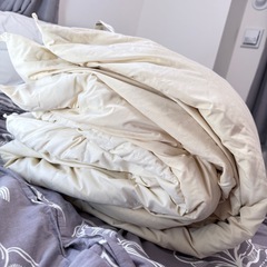 ニトリ 羽毛掛け布団 ダブルサイズ210x190 ダウン70%フェザー30%の画像