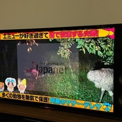 ジャンク　SONY55型テレビの画像