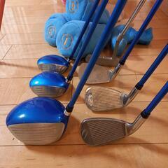 レディースゴルフクラブセット（ＪＡＣＫＢＵＮＮＹキャディバッグ、クラブケース付　）の画像