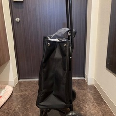 cocoro（ココロ）ショッピングカート / トートバッグ 2WAYの画像