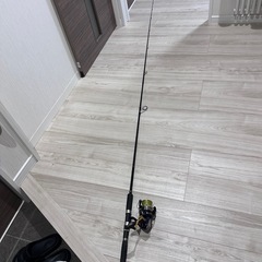 釣り竿、リールセット 、ルアー
の画像