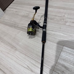 釣り竿、リールセット 、ルアー
の画像