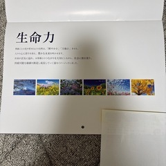 壁掛カレンダー2026  生命力の画像