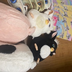 ぬいぐるみの画像