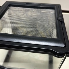 【爬虫類】エキゾテラ、爬虫類ケース【無料】の画像