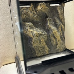 【爬虫類】エキゾテラ、爬虫類ケース【無料】の画像