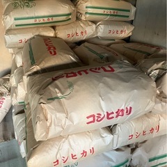 令和7年度産コシヒカリ玄米30kg③の画像