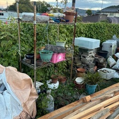 全て無料！！  植木 盆栽鉢 植木鉢 ひりょう 土 塗料 ビン 植栽 セメント モルタル とゆの画像