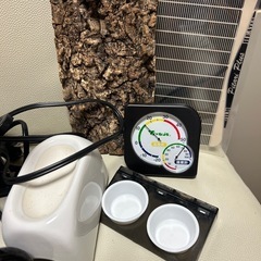 【爬虫類】トカゲ、ヤモリ、カナヘビ【飼育セット】の画像