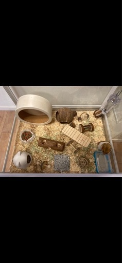 おまけ付きガラスケージ　小動物　爬虫類　三晃商会