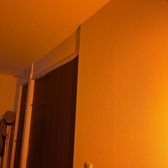 🐟集魚灯🐟の画像