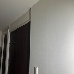 🐟集魚灯🐟の画像