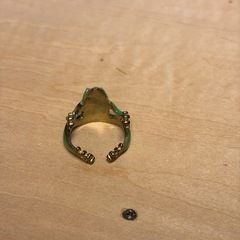 カエルの指輪の画像