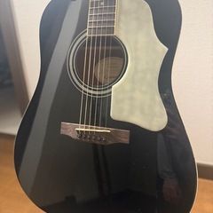 Epiphone DR-100 EB エボニー 純正ケース付の画像