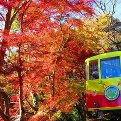 紅葉シーズン中に高尾山⛰️🍁
