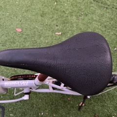 CAPTAIN STAG 折りたたみ自転車の画像