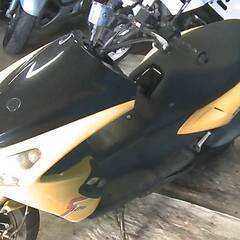 アディバ R125 黄 格安提供車 エンジン始動確認 半額配送キャンペーン 期間限定車体本体価格 現状渡し諸経費￥0- 横浜 P-Yard の画像