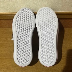 VANS 24cm オールドスクールライトの画像