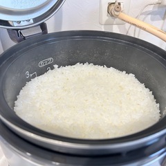 都市ガス用　ガス炊飯器　リンナイ　3号炊きの画像