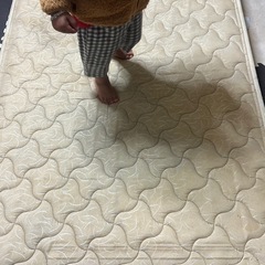 マトレスの画像