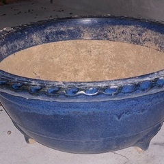 大きい鉢の画像