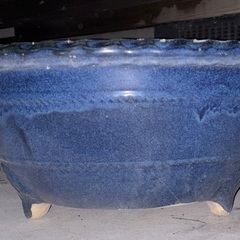 大きい鉢の画像