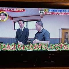 テレビ　9インチポータブル液晶TVの画像