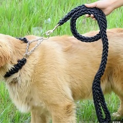 ★未使用★犬型犬用首輪リードセット★ハーフチョーク★ ★Lサイズ★お散歩アイテム★大型犬用★の画像