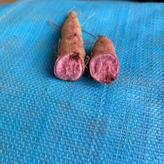 パープルスイートロード（紫芋）の画像