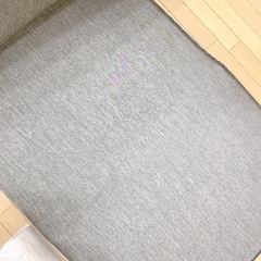 アイリスオーヤマ 冷感ラグ もっちり極厚 遮音撥水　185x185cmの画像