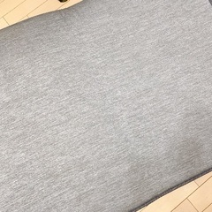 アイリスオーヤマ 冷感ラグ もっちり極厚 遮音撥水　185x185cmの画像