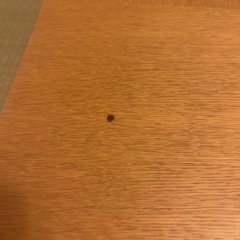 和風テーブル　ローテーブル　座卓　正方形の画像