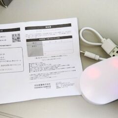 ワイヤレスイヤホン 白色の画像