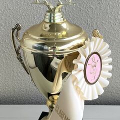 乗馬トロフィー＆リボン の画像