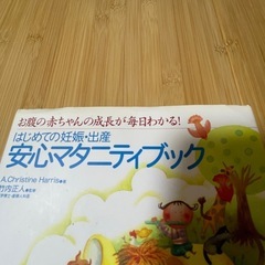 安心マタニティブックの画像