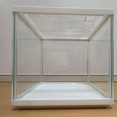 金魚・メダカ飼育セットの画像