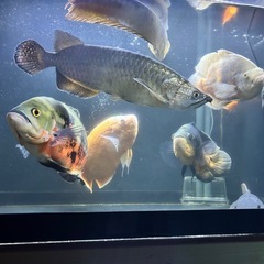 要らなくなったテレビなどの家電製品ください