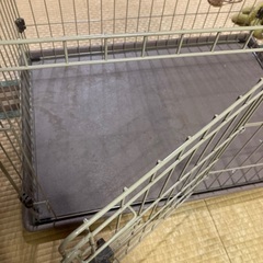 犬 キャリーケース ケージの画像