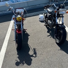 エイプ50の画像