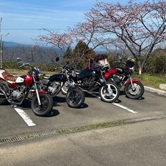 エイプ50の画像