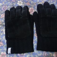 ●無料● CIAOPANIC 黒 手袋 大人サイズ 使用感あり 差し上げます。の画像