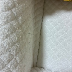 スヌーピー クーファンの画像