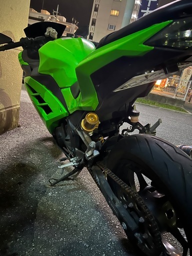 ニンジャ250