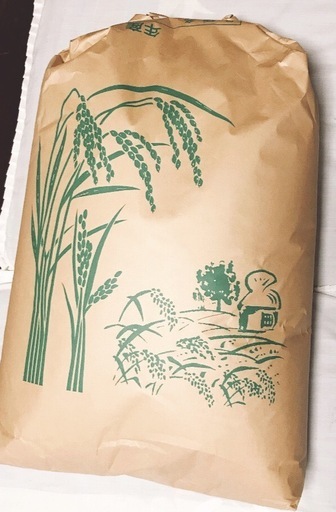 令和7年愛知産　コシヒカリ　30キロ　玄米