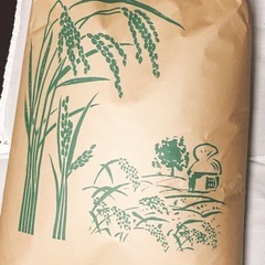 令和7年愛知産　コシヒカリ　30キロ　玄米の画像