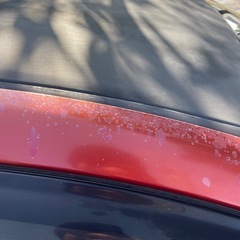 14カローラフィールダーの画像