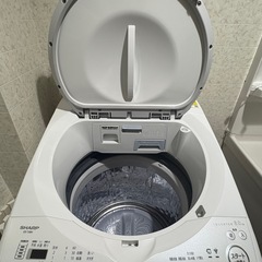 ✨2024年製 ほぼ新品✨ SHARP 8.0kg 縦型洗濯乾燥機の画像