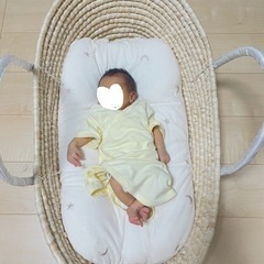 PUPPAPUPO クーファンのみの画像