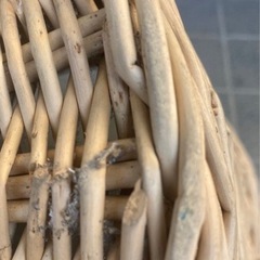 バスケットカゴの画像